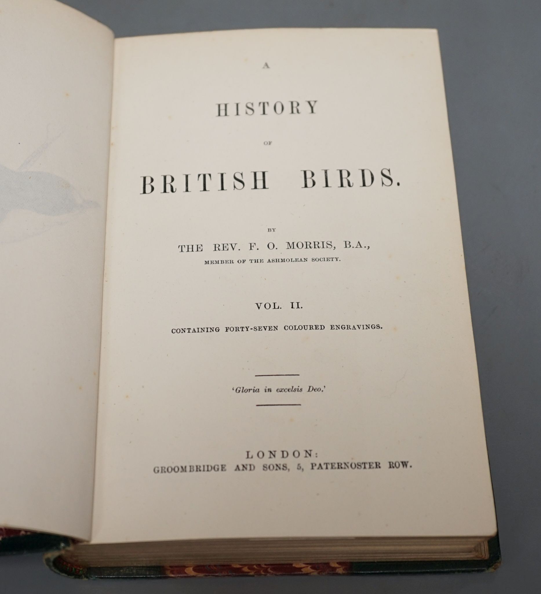 Morris, Rev. F.O. - A History of British Birds, Cabinet Edition, 8 vols, many hand-coloured plates; contemp. gilt half morocco with panelled spines and marbled boards, cr.8vo. (ca.1870)
